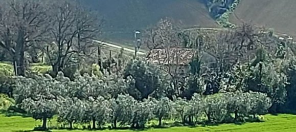 10 rooms House in Senigallia, Italy No. 302826 8