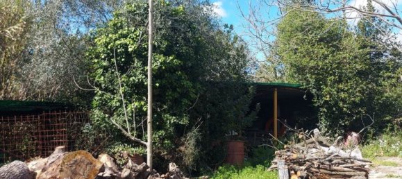 10 rooms House in Senigallia, Italy No. 302826 18