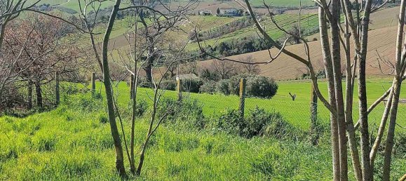 10 rooms House in Senigallia, Italy No. 302826 26