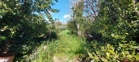 10 rooms House in Senigallia, Italy No. 302826 24