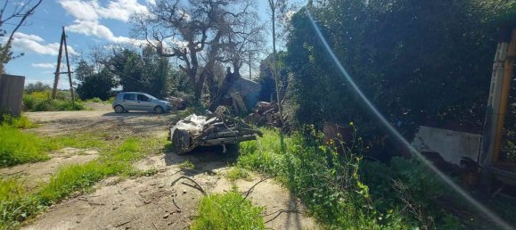 10 rooms House in Senigallia, Italy No. 302826 25