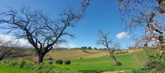 10 rooms House in Senigallia, Italy No. 302826 14