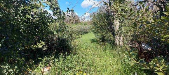 10 rooms House in Senigallia, Italy No. 302826 23