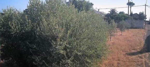 3 bedrooms House in La Carlota, Spain No. 186016 2