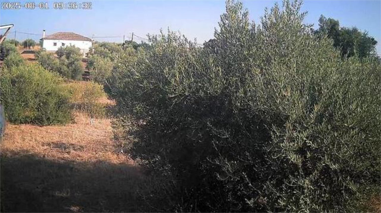 3 bedrooms House in La Carlota, Spain No. 186016