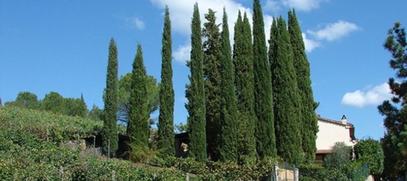 Casa de 12 divisões em Bucine, Italy N.º 57439 17