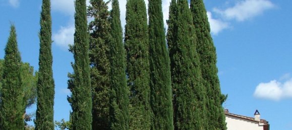 Casa de 12 divisões em Bucine, Italy N.º 57439 18