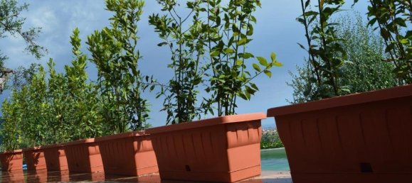 1 bedroom House in Castelnuovo Magra, Italy No. 89991 4