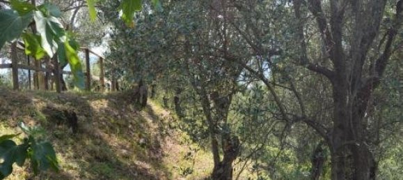 1 bedroom House in Castelnuovo Magra, Italy No. 89991 27