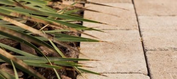 Villa de 7 dormitorios en Alicante, Spain No. 95100 15