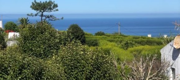 3 chambres Maison à Colares, Portugal No. 47791 13