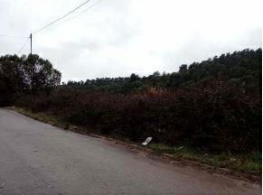  قطعة أرض في Barcelona, Spain 400متر مربع رقم 163631