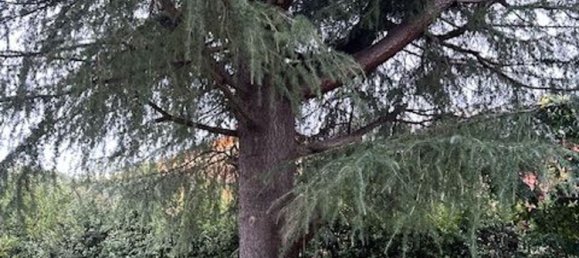 8 rooms Villa in Seravezza, Italy No. 121222 18