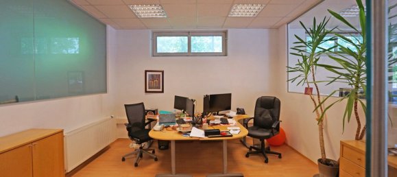 Propiedad comercial en Pressbaum, Austria 403 m² No. 135036 8