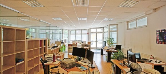 Propiedad comercial en Pressbaum, Austria 403 m² No. 135036 6