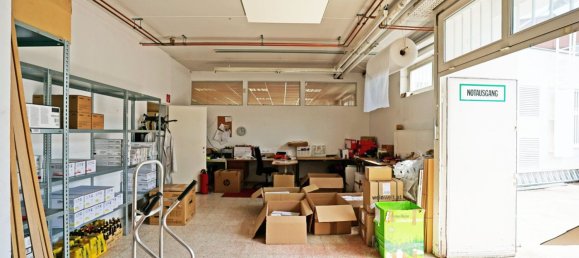 Propiedad comercial en Pressbaum, Austria 403 m² No. 135036 12