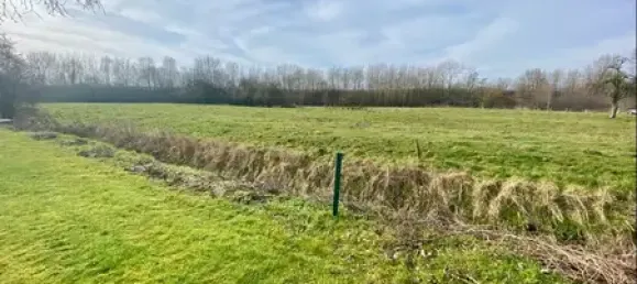 Bungalow de 5 habitaciónes en Schleswig-Holstein, Germany No. 45450 18