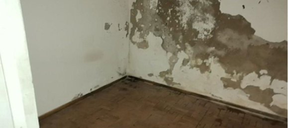 2 bedrooms House in Aljubarrota, Portugal No. 184493 4