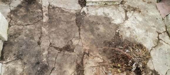 2 bedrooms House in Aljubarrota, Portugal No. 184493 6