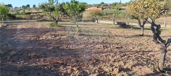 2 bedrooms House in Perais, Portugal No. 175616 11