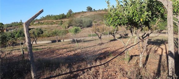 2 bedrooms House in Perais, Portugal No. 175616 10