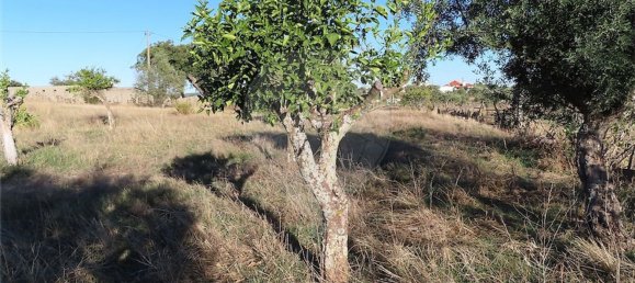 2 bedrooms House in Perais, Portugal No. 175616 15