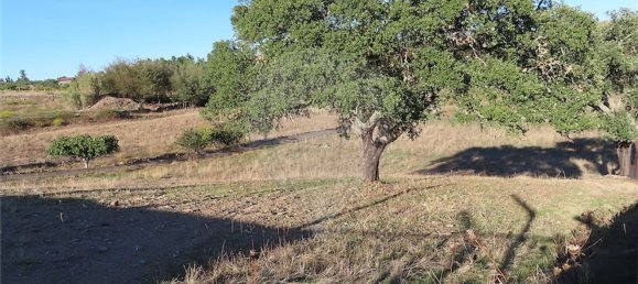 2 bedrooms House in Perais, Portugal No. 175616 14