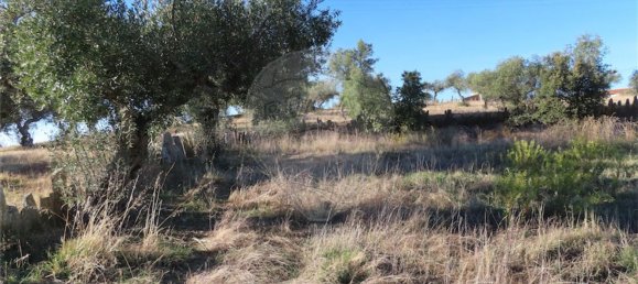 2 bedrooms House in Perais, Portugal No. 175616 16