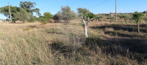 2 bedrooms House in Perais, Portugal No. 175616 19