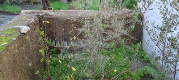 2 bedrooms House in Perais, Portugal No. 175616 7