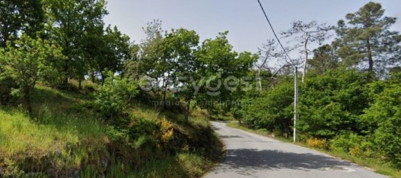 2180m² Land in Vouzela, Portugal No. 68588 5