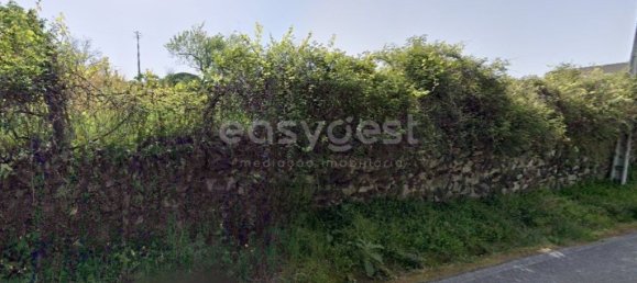 2180m² Land in Vouzela, Portugal No. 68588 3