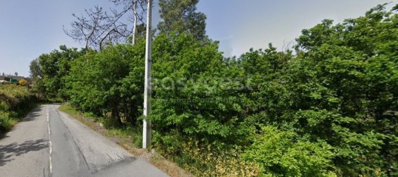 2180m² Land in Vouzela, Portugal No. 68588 6