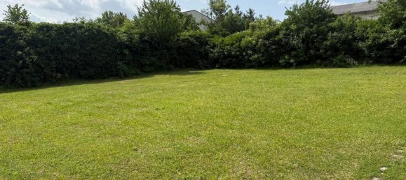  فندق في Zurndorf, Austria 896متر مربع رقم 205976 20