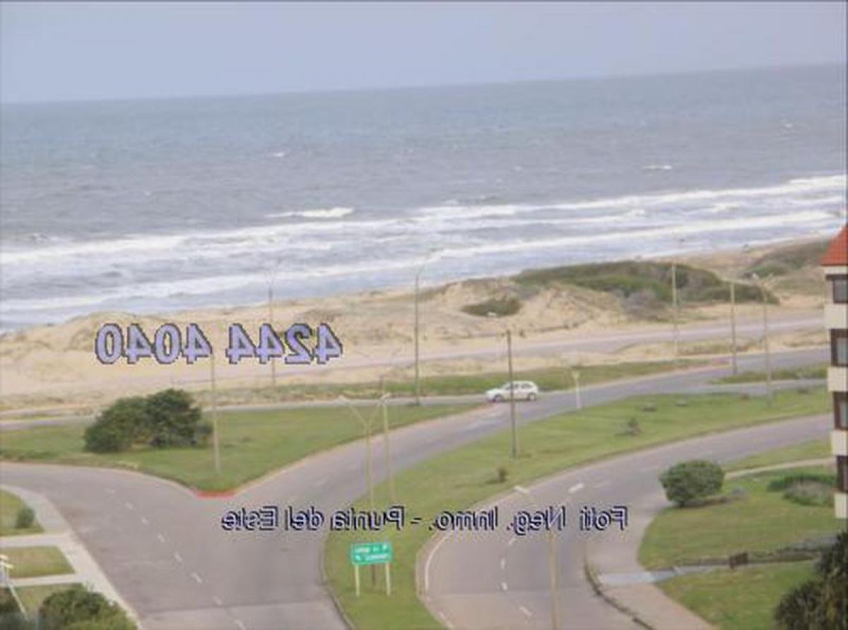 3 chambres Appartement à Punta del Este, Uruguay No. 10801