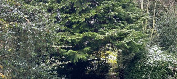 6 غرف نوم تاون هاوس في Boblingen, Germany رقم 29223 12