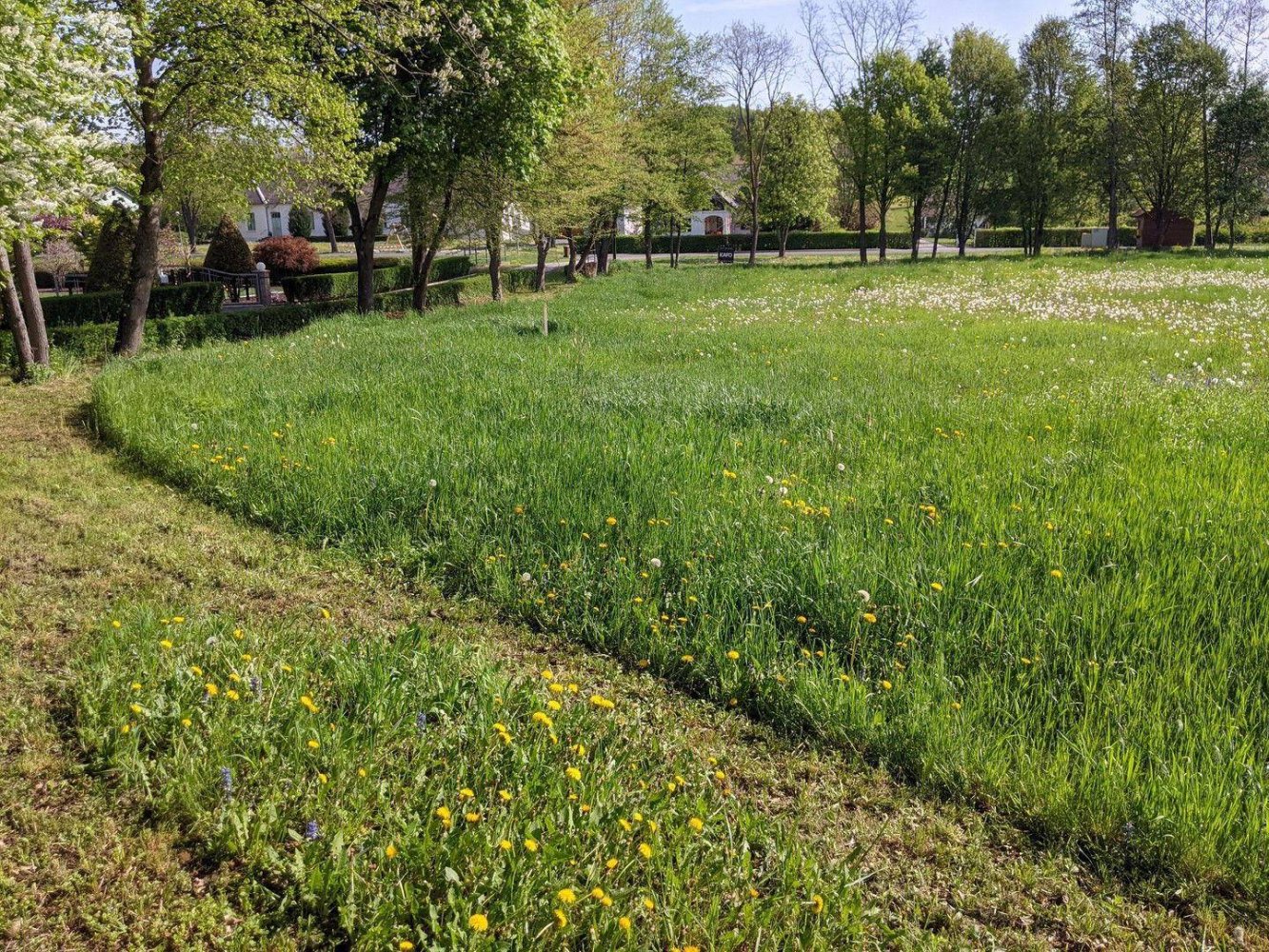 3851m² Land in Tobaj, Austria No. 155468