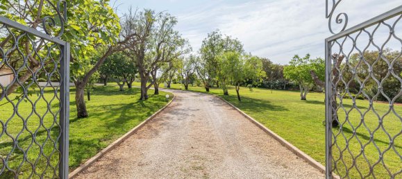5 Schlafzimmer Villa in Guia, Portugal, Nr. 190473 17
