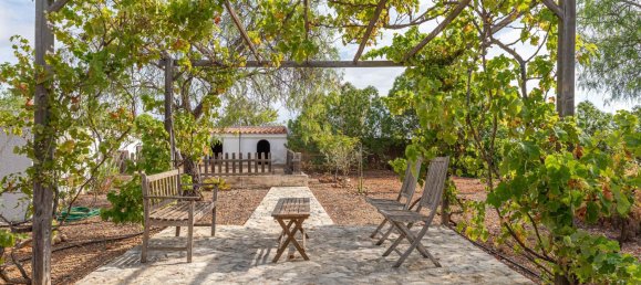 5 Schlafzimmer Villa in Guia, Portugal, Nr. 190473 14