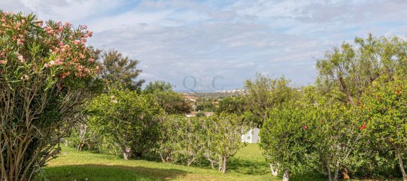 5 Schlafzimmer Villa in Guia, Portugal, Nr. 190473 15