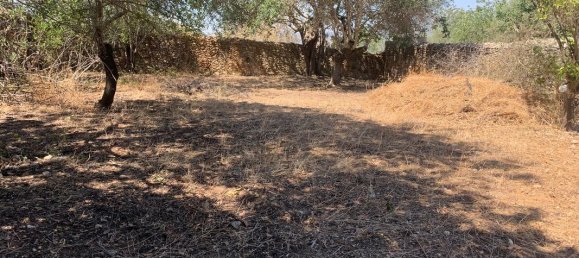 2 Schlafzimmer Haus in Paderne, Portugal, Nr. 29365 3