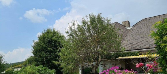 7 rooms Villa in Linz, Austria No. 257823 4