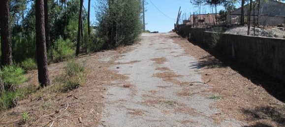 Grundstück in Sao Joao de Areias, Portugal 2070m², Nr. 62721 3