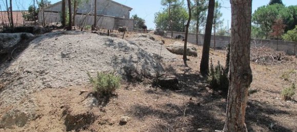 Grundstück in Sao Joao de Areias, Portugal 2070m², Nr. 62721 5