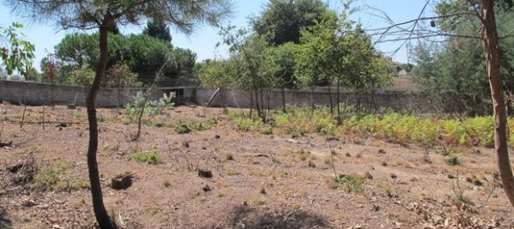 Grundstück in Sao Joao de Areias, Portugal 2070m², Nr. 62721 6