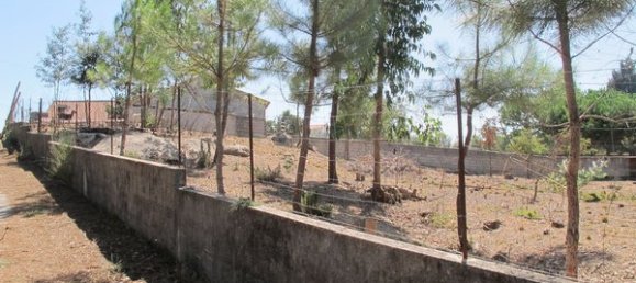 Grundstück in Sao Joao de Areias, Portugal 2070m², Nr. 62721 2