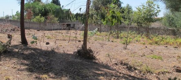 Grundstück in Sao Joao de Areias, Portugal 2070m², Nr. 62721 4