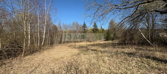 4 rooms Commercial property in Erzgebirgskreis, Germany No. 281305 6