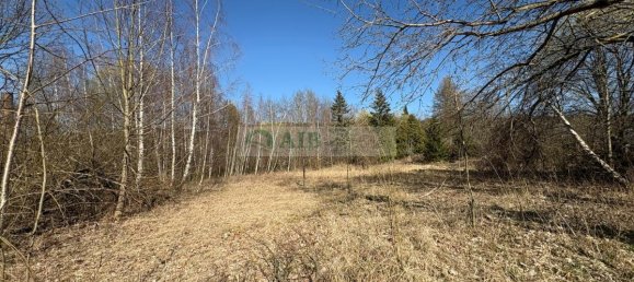 4 rooms Commercial property in Erzgebirgskreis, Germany No. 281305 7