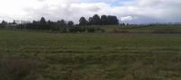 Grundstück in Los Rios, Chile, Nr. 725 2